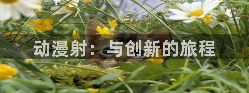 囧次元正版：动漫射：与创新的旅程