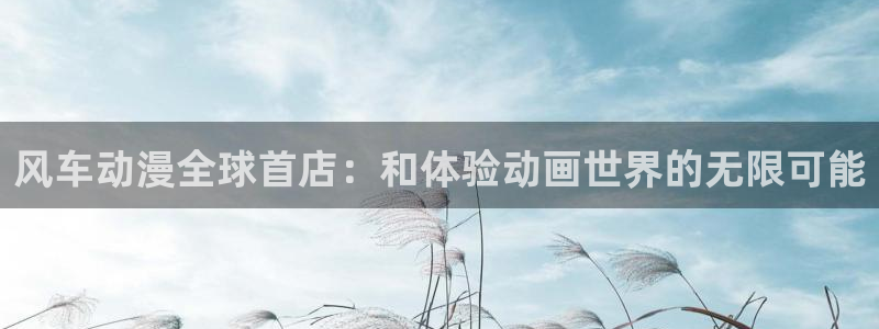 囧次元app正版：风车动漫全球首店：和体验动画世界的无限可能