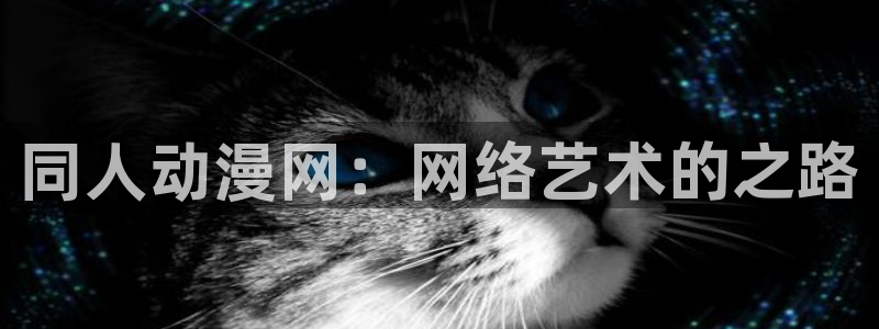 囧次元app下载安装：同人动漫网：网络艺术的之路