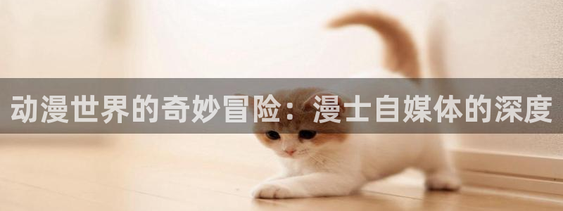 囧次元动漫app：动漫世界的奇妙冒险：漫士自媒体的深度