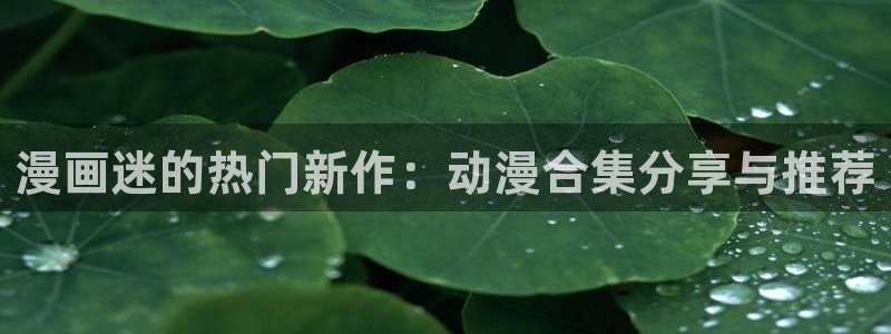 囧次元官方网：漫画迷的热门新作：动漫合集分享与推荐