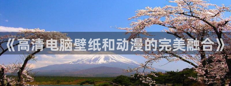 囧次元网站入口：《高清电脑壁纸和动漫的完美融合》