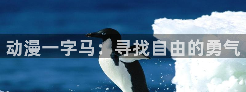 囧次元是哪个公司的：动漫一字马：寻找自由的勇气