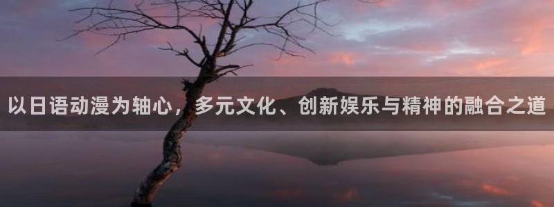 囧次元为什么打不开了：以日语动漫为轴心，多元文化、创新娱乐与精神的融合之道