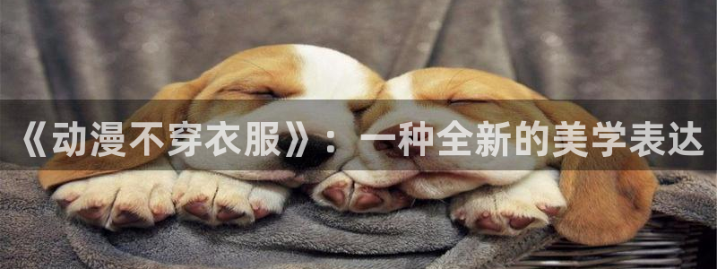 囧 次 元：《动漫不穿衣服》：一种全新的美学表达