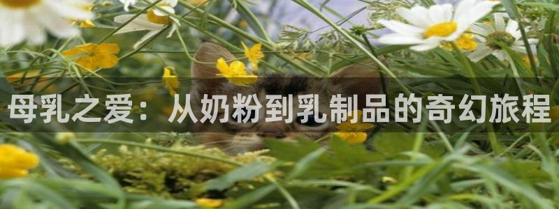 囧次元大全：母乳之爱：从奶粉到乳制品的奇幻旅程
